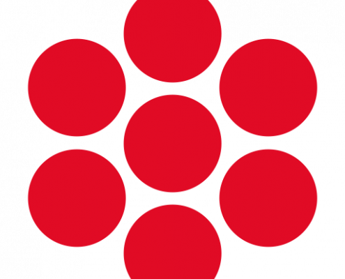 Perimed logo - Amputazione